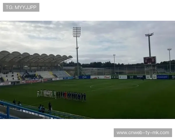 欧足联严惩种族歧视,涉事球队空场处罚 欧足联严惩种族歧视,涉事球队空场处罚